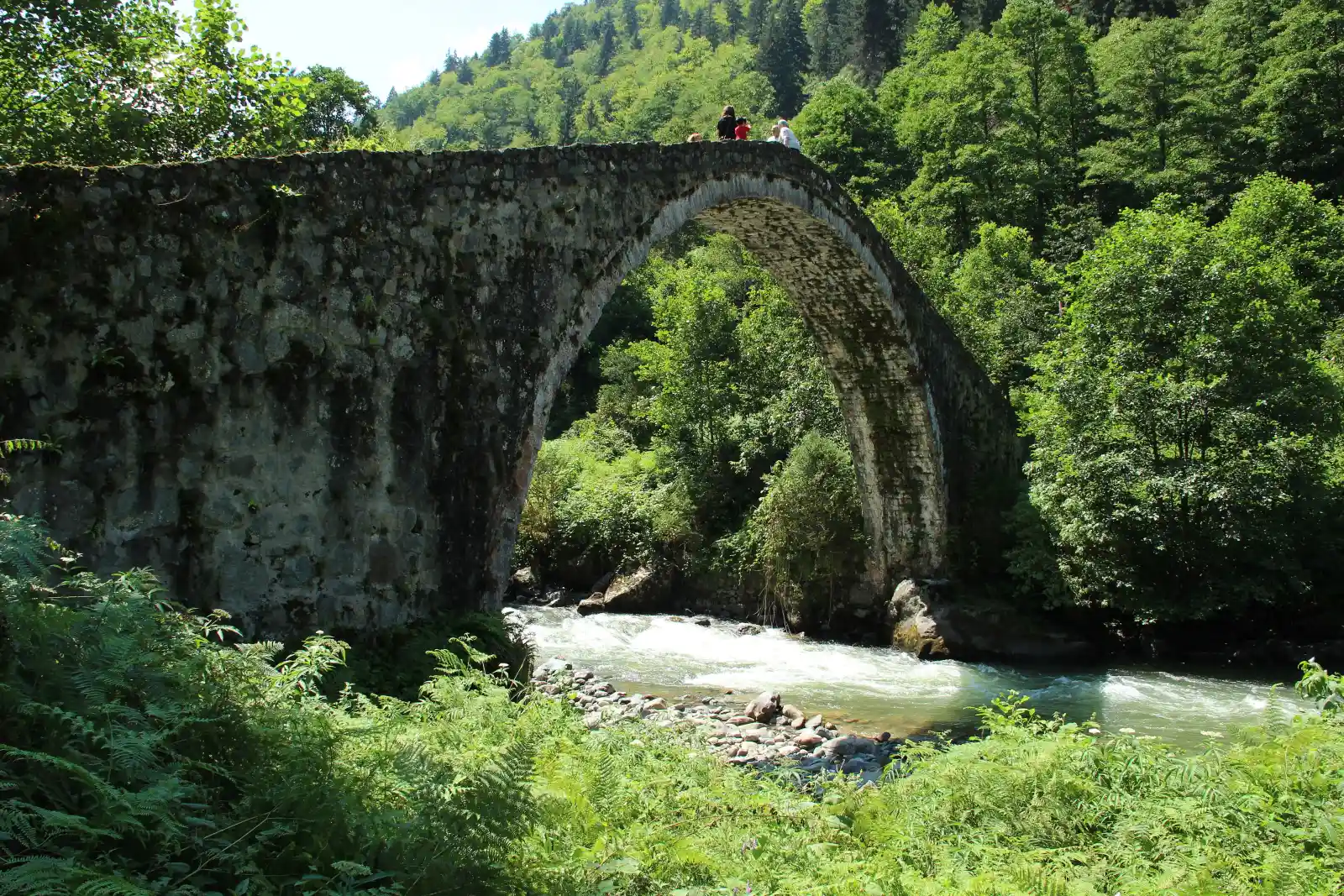 Fırtına Deresi üzerinde ormanla çevrili tek kemerli tarihi taş köprü