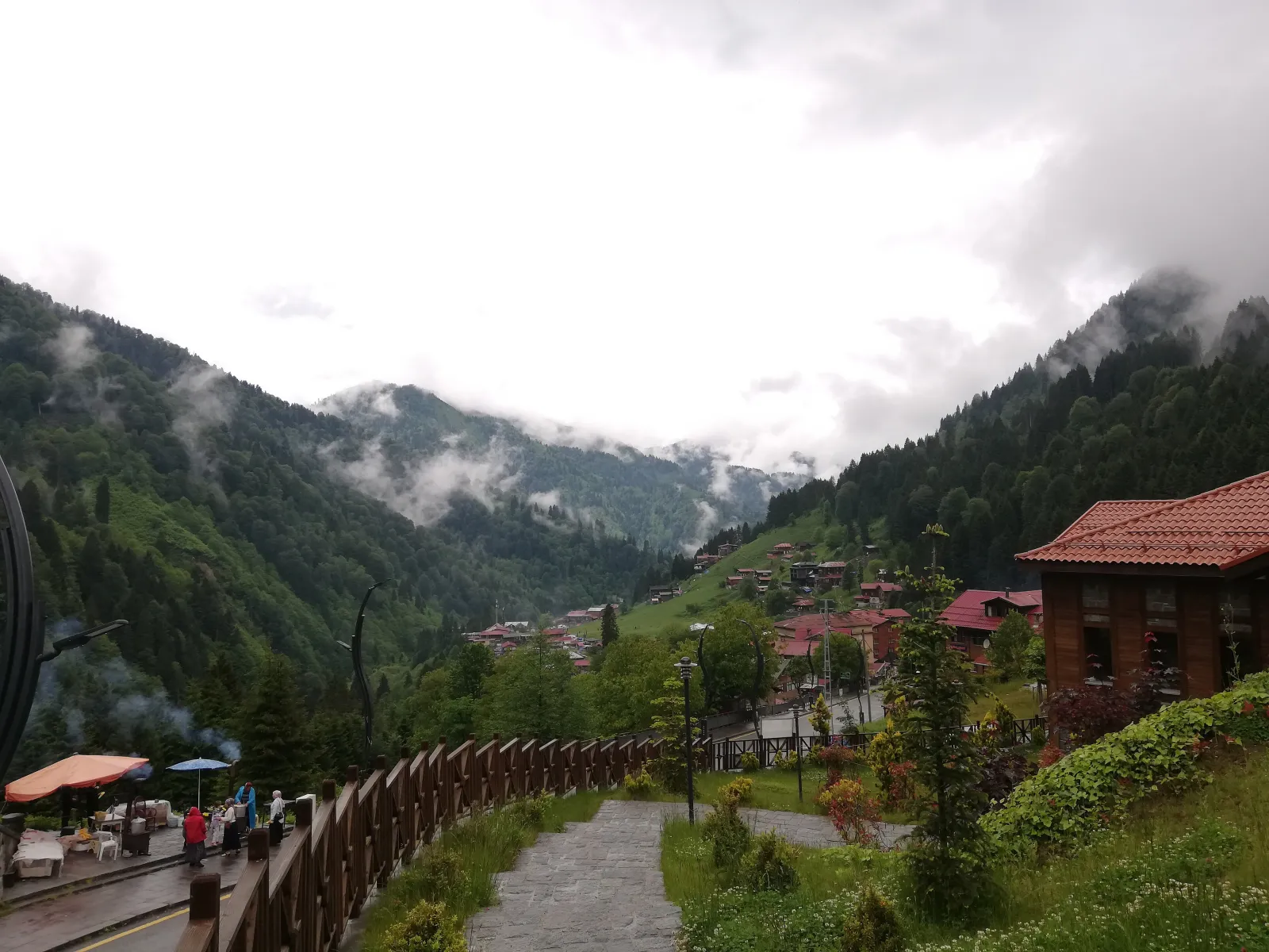 Ayder'de bulutların indiği dağ yamaçları, ladin ormanı ve yayla yolu