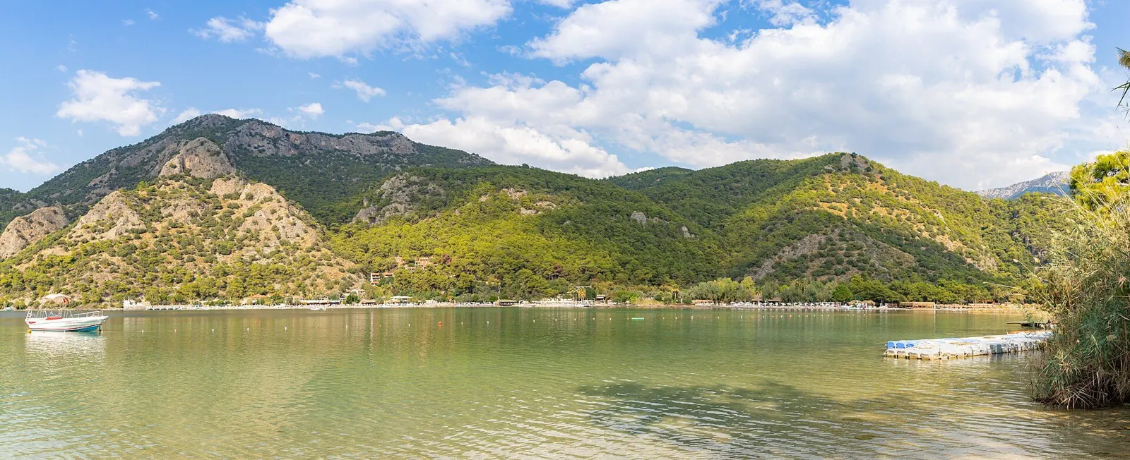 Ölüdeniz Mavi Lagün sahilinde turkuaz deniz ve çam ağaçlı kıyı